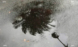 météo réunion 