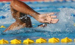 natation