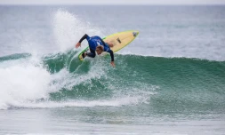 surf
