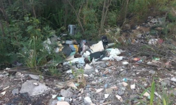 déchets, dépôt sauvage, Band Cochon, 