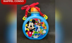 Rappel conso gourde mickey