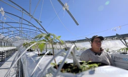 nicole lebon agricultrice 3 mois apres le passage du cyclone  Garance 