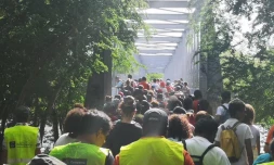 Balade solidaire à Etang Saint-Paul
