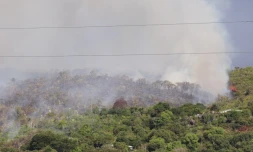  Feu de brousailles dans les Hauts de la Possession 