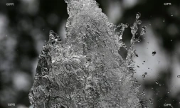 Eau 