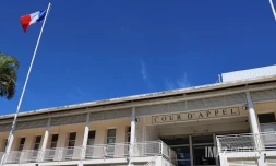 tribunal de la cour d'appel