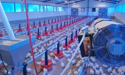 Agriculture réunionnaise : le temps de mettre fin aux monopoles