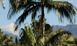 paysages 