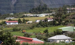 piton Hyacinthe plaine des cafres Tampon 
