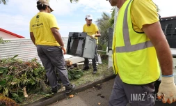 operation netoy nout vil 