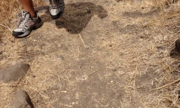 Trail