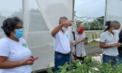 visite d'exploitation par la FDSEA à Sainte-Suzanne après le passage de batsirai