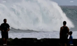 forte houle