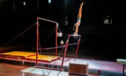 Le gala de gymnastique du Port fait le show