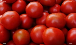 Fruits et légumes