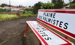 ville de la plaine des palmistes 