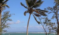 Météo Réunion 