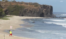 panneaux requins baignade interdite