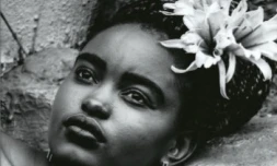 Roman "Le Rivage de la colère"