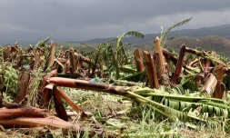Garance : La Réunion, l'île en phase de sauvegarde