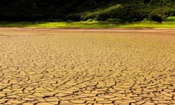 Sécheresse à Grand Etang