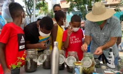 jardins partagés les camélias saint-denis
