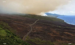 Incendie, Grand brûlé, Sainte-Rose, feu, végétation