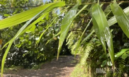 La météo sur La Réunion pluie