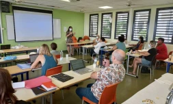 Formation violences et résiliences IUT