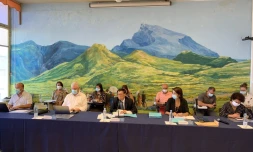 conseil municipal tampon