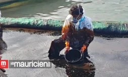 Pollution à Maurice