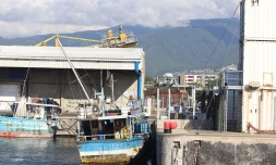 Migrants : sept hommes viennent d'arriver au Port-Ouest - mercredi 26 décembre 2018