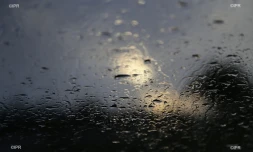 pluie 