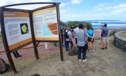 Projet "Amen tortue" : des nouvelles plages de ponte pour les tortues marines