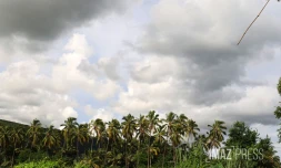 météo réunion