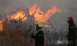 Dash 8 pour Feu de broussailles Ă Savannah Saint-Paul