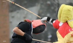 canne de combat 2016