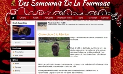 Les éleveurs canins vent debout contre les élevages marrons