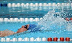 Natation 