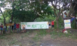 XR Réunion opération groupée contre abattage