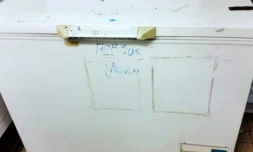 Mayotte : 51 cadavres de bébés dans un congélateur de l'hÎpital