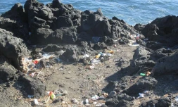 Band Cochon : quand le littoral devient une poubelle Ă ciel ouvert