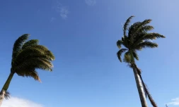 météo Réunion