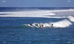 surf roches noires 