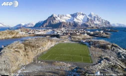 stade