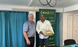 Réunion de travail entre la Casud et la Chambre de commerce et d'industrie de La Réunion