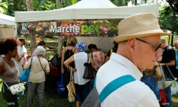 Marchés producteurs 
