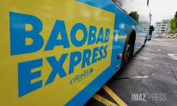 baobab express