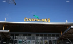 cinepalmes 