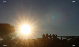 illustrations photos 